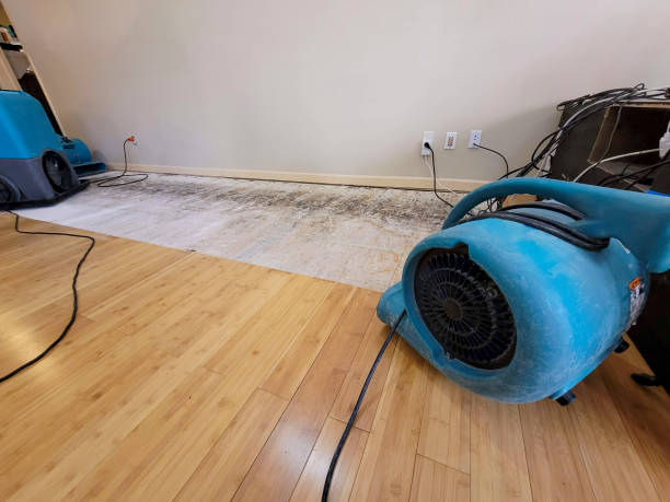 Professional Flood Damage Cleanup technician working in Brookshire, TX